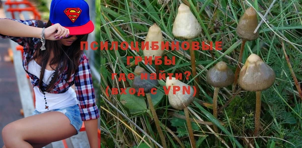 не бодяженный Бородино