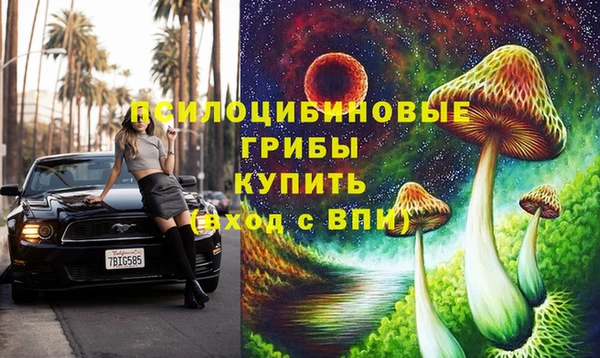 не бодяженный Бородино